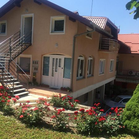 Studioapartmani Jedvaj Krapina Bagian luar foto